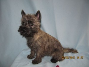 Winnie